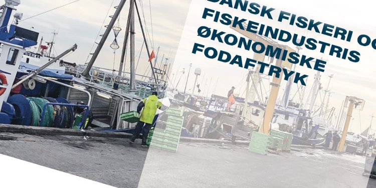Rapport-Fiskeriets-fodaftryk