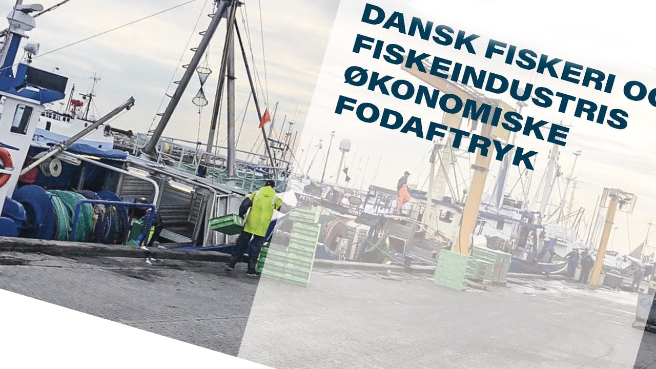 Read more about the article Fiskerisektoren bidrager positivt til dansk økonomi