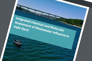 I en undersøgelse foretaget af IVL Swedish Enviromental Research Institute (Svensk Teknologisk Institut) sættes der fokus på Vejle Fjords sande tilstand. foto: IVL