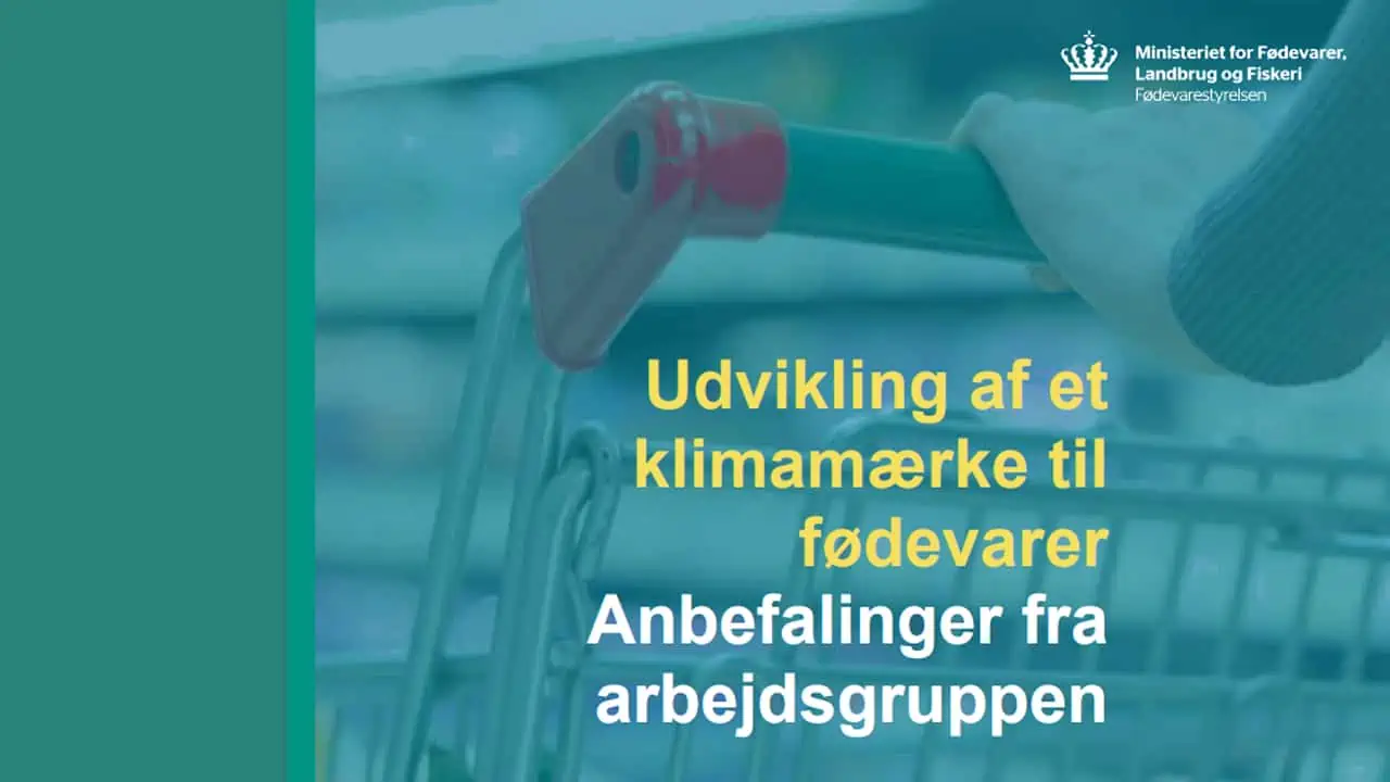 Read more about the article Dansk Erhverv kræver flere midler til det nationale klimamærke