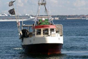 Er løsningen et bæredygtigt fiskeri i Vestlige Østersø