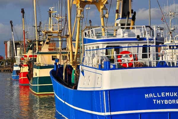 Read more about the article Mange overvejer at deltage i rationsfiskeri efter tobis