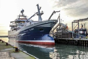 Rekordår: Fisk for over 1 mia kroner landet i Thyborøn i 2018 - foto: Rekordår for fiskeriet i Thyborøn Havn