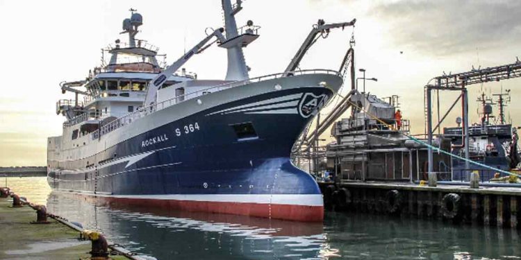 Rekordår: Fisk for over 1 mia kroner landet i Thyborøn i 2018 - foto: Rekordår for fiskeriet i Thyborøn Havn