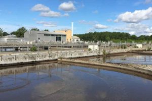 Store dele af det glyfosat, der er fundet i europæiske floder, stammer formentligt ikke fra herbicider (bekæmpelsesmidler) fra landbruget, men istedet fra vaske- og rengøringsmidler, som udledes fra de kommunale rensningsanlæg. foto: VandetsVej