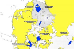 Flere rev skal beskyttes i Kattegat og Vestlige Østersø