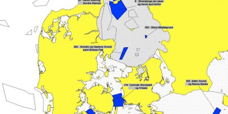Flere rev skal beskyttes i Kattegat og Vestlige Østersø