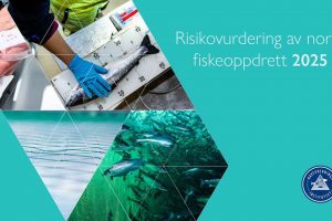 Den 26. februar præsenterer Havforskningsinstituttet årets risikovurdering af norsk lakseopdræt. Rapporten vurderer, hvordan lakseopdræt påvirker miljøet og fiskevelfærden i anlæggene. foto: Hi.no