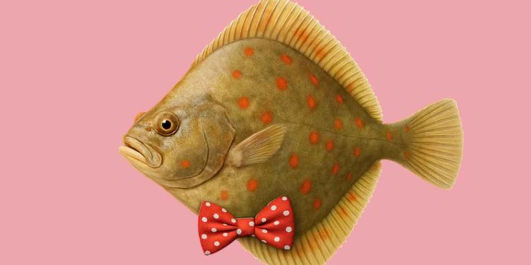 Rødspætten har vundet titlen som Danmarks Nationalfisk - fvm