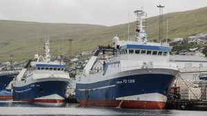 trawlerne Lerkur og Rókur lander sej til fabrikken i Runavik