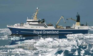 Royal Greenland leverer endnu et solidt årsresultat