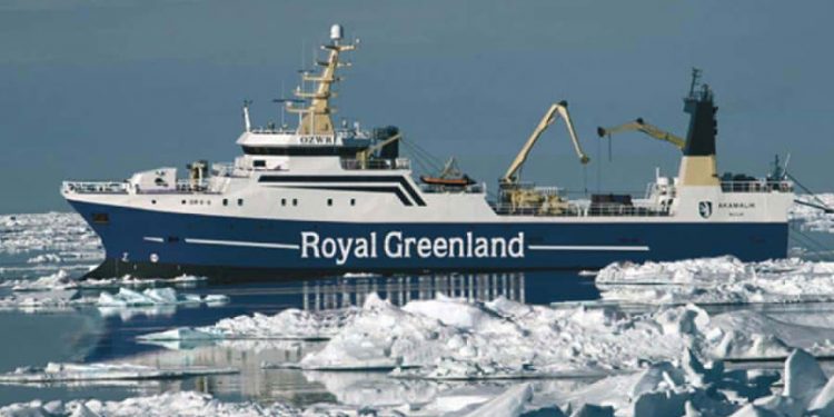 Royal Greenland leverer endnu et solidt årsresultat
