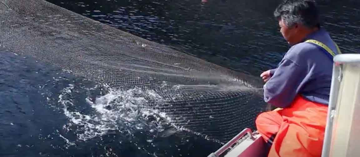 Read more about the article Ny topchef i Royal Greenland: »Vi planlægger efter alle tænkelige scenarier«