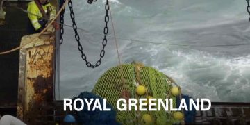 Efter to økonomisk stormfulde år med milliontab ror Royal Greenland nu i smult vande. Selvom overskuddet på 6 millioner kroner er beskedent, vidner det nye årsregnskab om en effektiv oprydning, stram omkostningsstyring og en direktion, der nu er solidt forankret i Grønland. foto: Royal Greenland