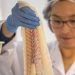 Efter et historisk svært 2023 er Royal Greenland nu klar med strategien »INUA 2027«. Målet er klart: Virksomheden skal være verdensførende inden for vildtfanget fisk, rydde op i bureaukratiet og sikre millionbesparelser. foto Royal Greenland