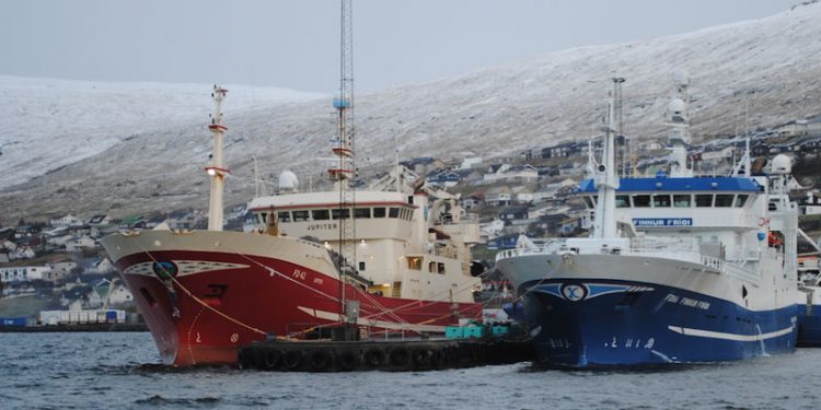 Færøsk fiskeripolitik med fokus på merværdi  Foto: Runavik - Edmund Jakobsen