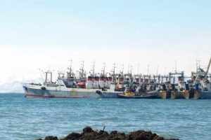 Danske trawlskovle til den russiske fiskerflåde