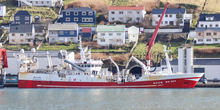 Færøerne: Begyndende fangster af blåhvilling rundt Færøerne - danske Ruth