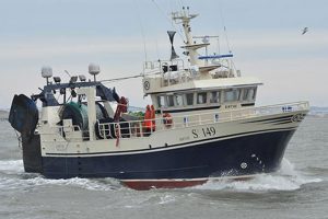 Svensk fiskerispecialist kalder dansk kvotekongedebat