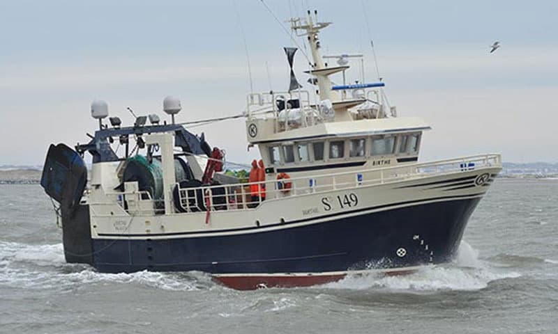 Read more about the article Svensk fiskerispecialist kalder dansk kvotekongedebat, for noget værre vrøvl