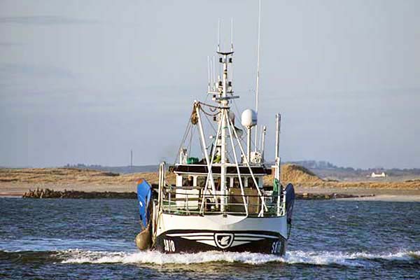 Read more about the article Muff-brødrene fra Hvide Sande fisker sammen igen