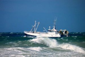 Regulering af fiskeri af andre arter i norsk fiskerizone.  Foto: S255 North Sea Skagen  Fotograf: Lilleheden