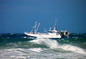 Regulering af fiskeri af andre arter i norsk fiskerizone.  Foto: S255 North Sea Skagen  Fotograf: Lilleheden