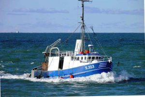 Danmarks Fiskeriforening afgiver høringssvar om discard-forbuddet i Skagerrak.  Foto: S353 Nordstrand - Lilleheden