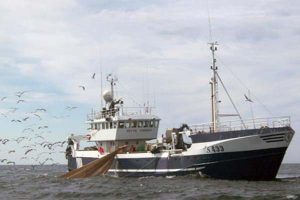 Skagen trawler solgt til Thyborøn.  Foto: S433 Gitte Torben  fotograf: RSC