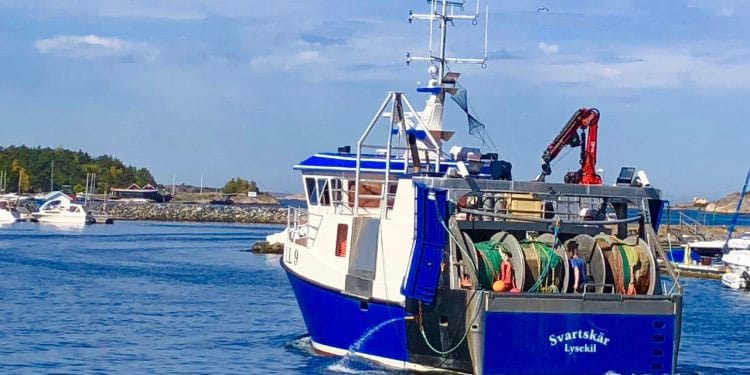 Read more about the article Svensk bekymring for fremtiden i det europæiske fiskeri