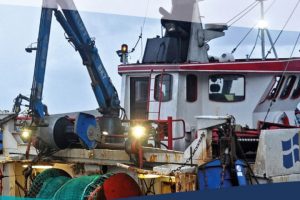 Engelske og skotske Nordsø-torsk er nu MSC-certificeret