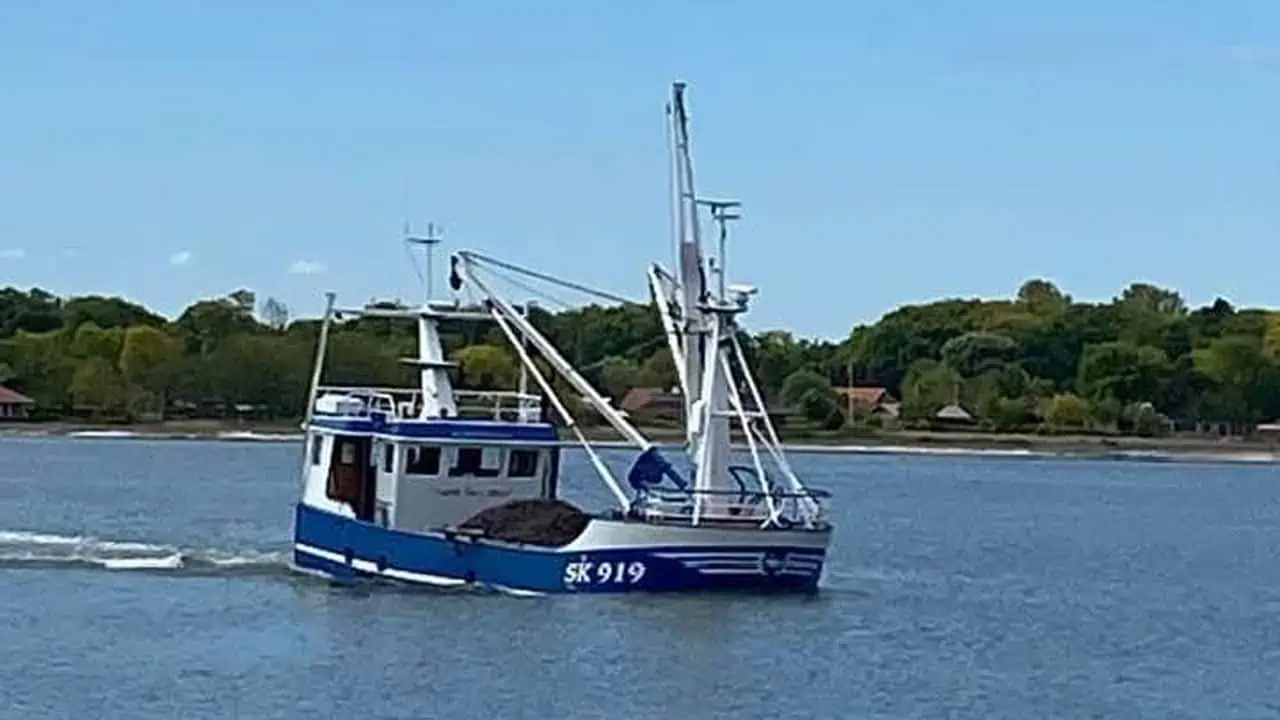 Read more about the article Hårdt muslinge-opgør på vej mellem »gratisterne« i Limfjords-fiskeriet og licens-betalerne