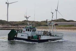 De fiskes fortsat tobis på rationsvilkår.  Foto: SØ10 Simaru Grandlund på vej  ind for at losse.  Fotograf   SSmartha