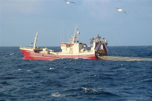 Read more about the article Forbud mod Islandske makrel landinger i EU