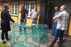 Sælsikre tejner forventes at komme fiskerne til undsætning.  foto: Sælsikre redskaber - fvm