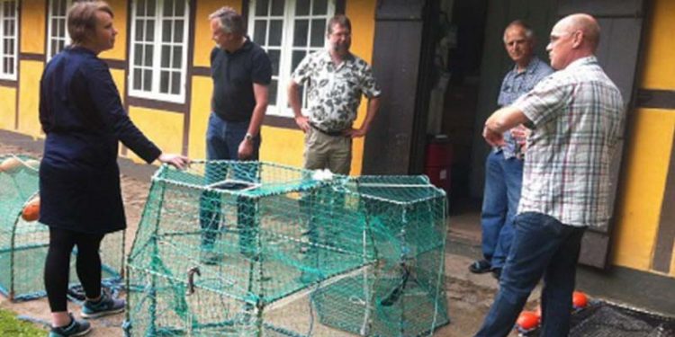 Sælsikre tejner forventes at komme fiskerne til undsætning.  foto: Sælsikre redskaber - fvm