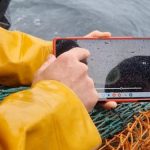 Hampidjan Canada får eksklusivitet på CatchCam undervandskamera foto: SafetyNet Technologies