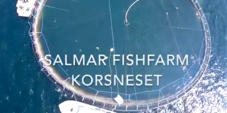 Salmar Fishfarm Korsneset