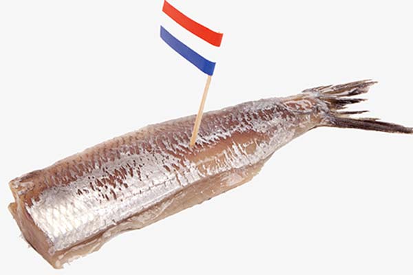 Read more about the article Vækstambitioner får Polaris og Haasnoot i tættere samarbejde