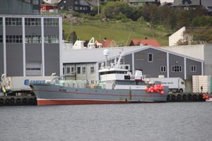 Som i Tórshavn, hvor Sandshavið forleden landede 55,1 tons, hvoraf 30,1 tons var torsk. foto: Sandshavid af kiranJ