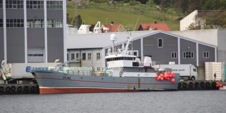 Som i Tórshavn, hvor Sandshavið forleden landede 55,1 tons, hvoraf 30,1 tons var torsk. foto: Sandshavid af kiranJ