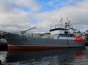 Færøerne: Garnskibe og linefartøjer samt trawlere’s landinger i Tórshavn. foto: Kiran J