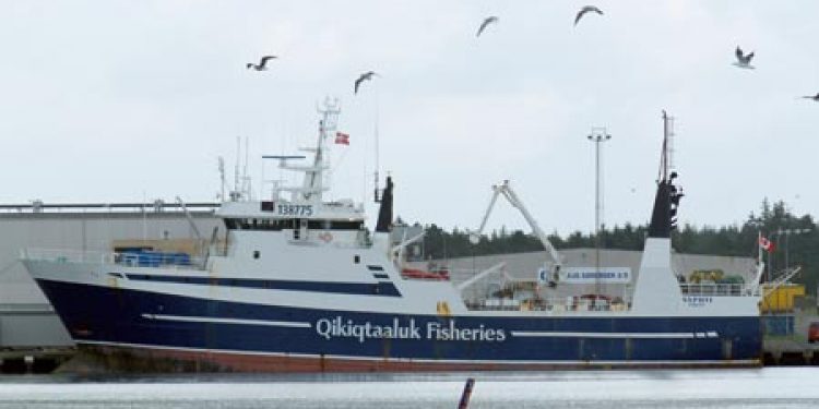 Canadisk frysetrawler øger kapaciteten med knap 30 procent.  Arkivfoto: Saputi - HHansen