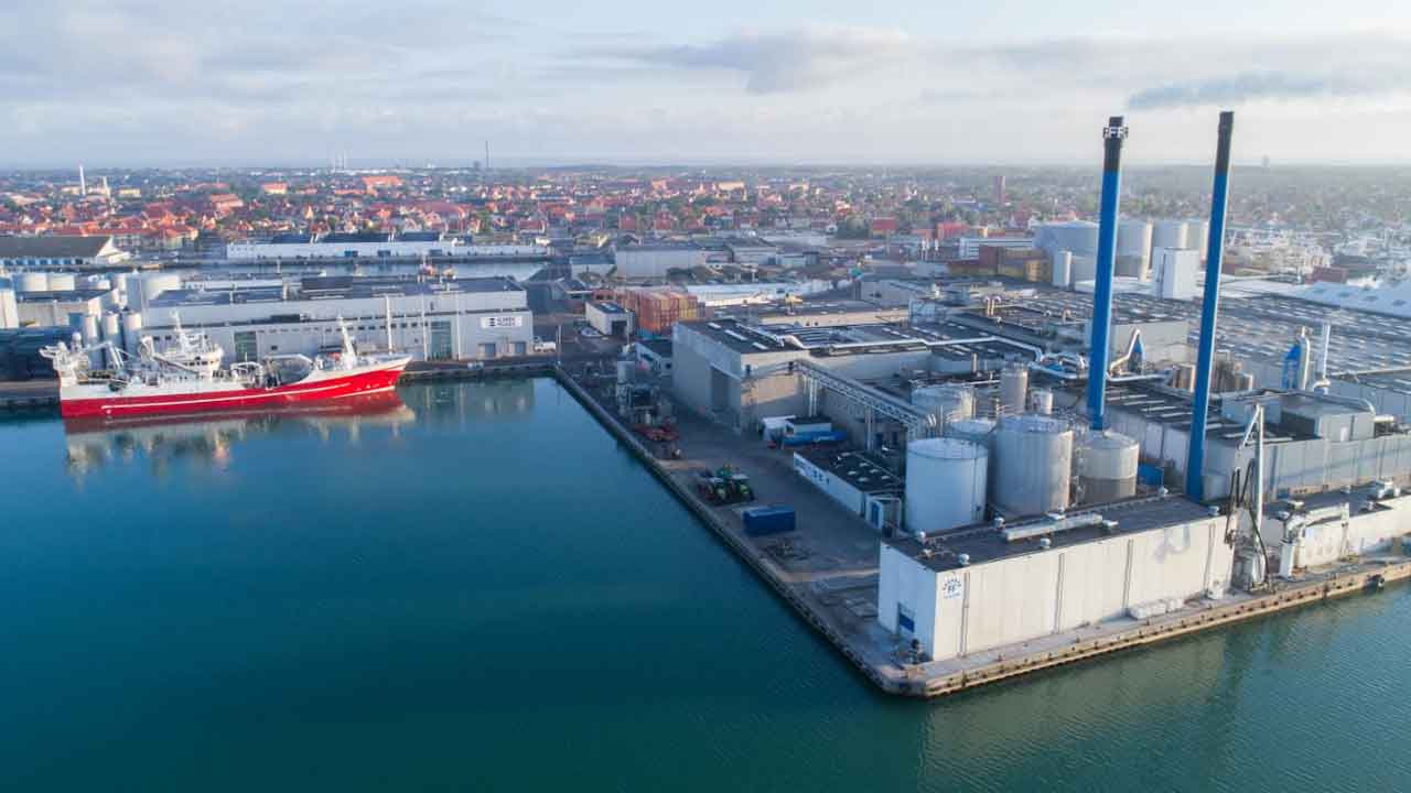 Read more about the article FF-koncernen leverer imponerende trecifrede million-resultat efter Skat