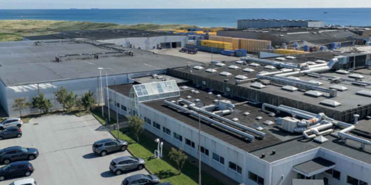 På fabrikkerne i Skagen og Aalbæk forvandles den friskfangede sild til alt fra klassisk marineret delikatesse til nicheprodukter som matjes og rogn – et håndværk båret af dygtige og fleksible medarbejdere. ff Nyt