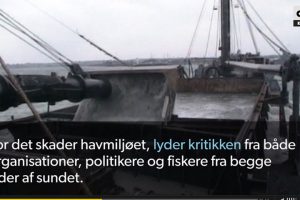 Uenighed i Regeringen om fortsat sandsugning i Øresund  Screenshot fra DR´s udsendelse