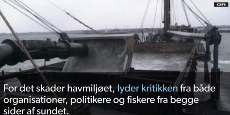 Uenighed i Regeringen om fortsat sandsugning i Øresund  Screenshot fra DR´s udsendelse