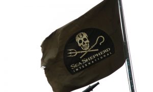 Mexicanske fiskere raser mod »Sea Shepherd«