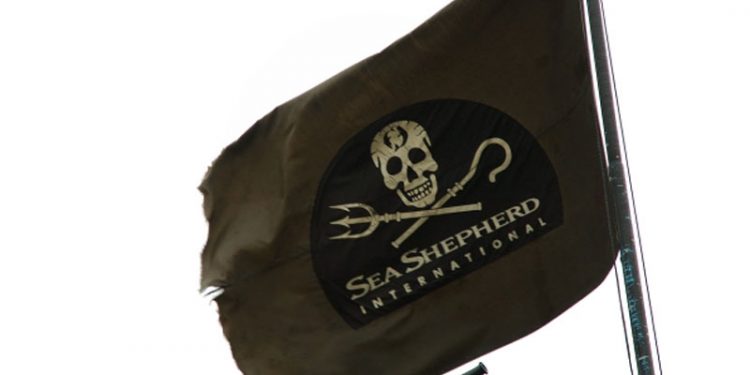 Mexicanske fiskere raser mod »Sea Shepherd«