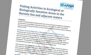 Seafish Barentshavet rapport afviser Greenpeace opfordringer .  foto:  Seafish rapport